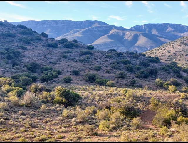 10,000M² VACANT LAND FOR SALE IN LADISMITH RURAL